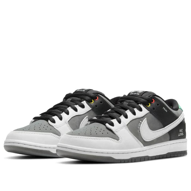 Nike SB Dunk Low VX 1000 Camcorder