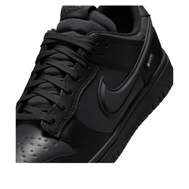 Nike Dunk Low GTX 'Black'